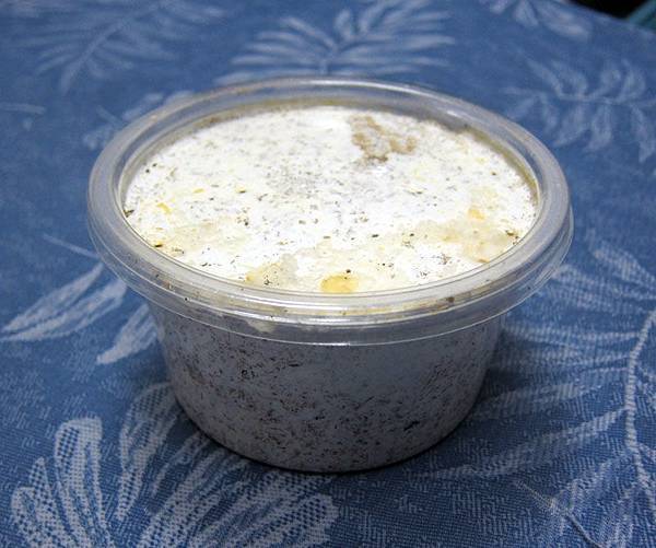 簡單聊聊 菌瓶飼養法 黑貓老師